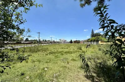 Terreno de esquina no parque pinheiro machado - pronto para construir