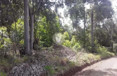 Terreno à venda na Horto Dos Eucaliptos, Lote 8 Qua, Parque Serrano, Itaara