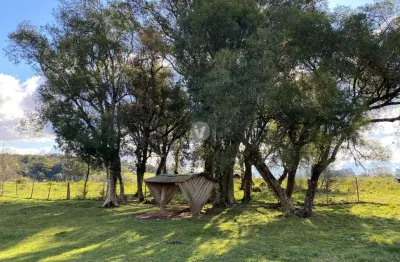 Chácara / sítio com 1 quarto à venda na Rua Syllas Pauler, s n, Parque Serrano, Itaara