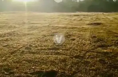 Terreno à venda na Avenida Primeira, 767, Diácono João Luiz Pozzobon, Santa Maria