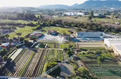 Oportunidade de terreno com ampla metragem no bairro patronato