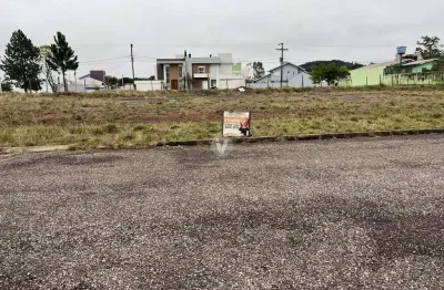 Terreno à venda na Estrada Eduardo Duarte, 00, Tomazetti, Santa Maria