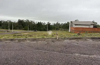Terreno à venda na Estrada Eduardo Duarte, 00, Tomazetti, Santa Maria