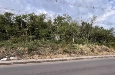 Excelente terreno medindo 1000m², localizado próximo ao cond. moradas santa mari