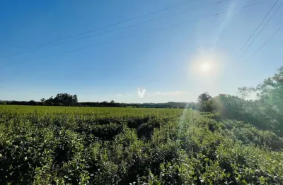 Chácara / sítio à venda na Estrada Pau A Pique, 999, Diácono João Luiz Pozzobon, Santa Maria