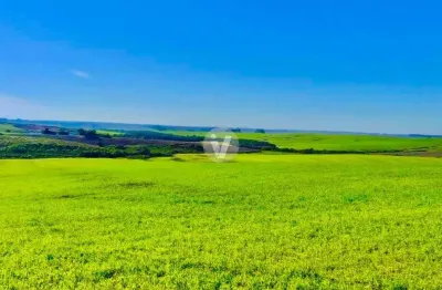 Área rural à venda em cacequi com 300 ha, possuindo 10ha de barragem