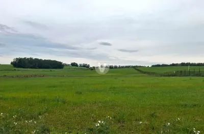 Área rural à venda, com 10 hectares, excelente localização na beira da br 287!