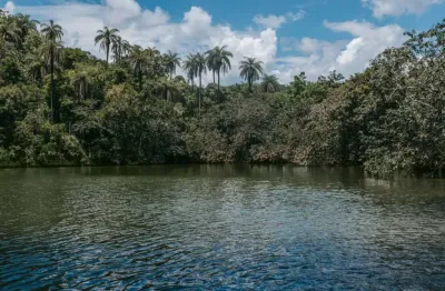 Terreno à venda, 45965 m² por r$ 600.000,00 - terras verdes - lagoa santa/mg