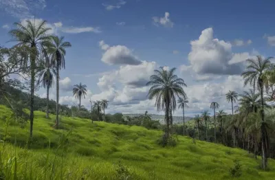 Terreno à venda, 42535 m² por r$ 600.000,00 - terras verdes - lagoa santa/mg