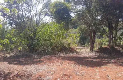 Terreno à venda, 6000 m² por r$ 3.900.000,00 - vila maria - lagoa santa/mg