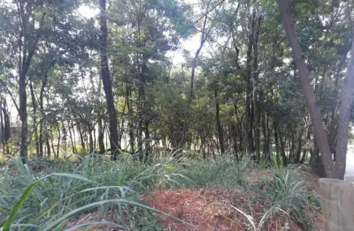 Terreno à venda, 2500 m² por r$ 1.280.000,00 - condomínio condados da lagoa - lagoa santa/mg