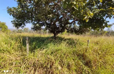 Terreno à venda, 1000 m² por r$ 250.000,00 - lagoinha de fora - lagoa santa/mg