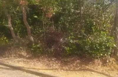 Terreno à venda, 1000 m² por r$ 220.000,00 - condomínio estância da mata - jaboticatubas/mg
