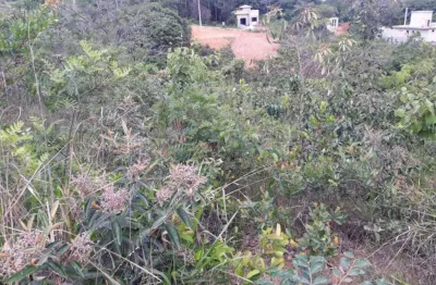 Terreno à venda, 1000 m² por r$ 250.000,00 - shalimar - lagoa santa/mg