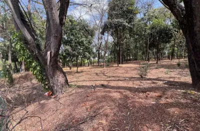 Terreno em condomínio fechado à venda na Estância das Amendoeiras, Lagoa Santa 