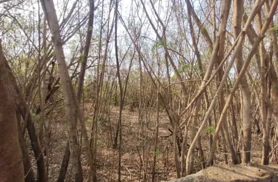 Terreno à venda no Condomínio Boulevard, Lagoa Santa 