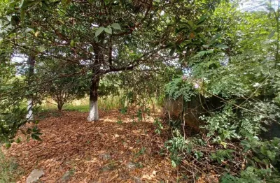 Terreno à venda, 1000 m² por r$ 700.000,00 - jardim ipê - lagoa santa/mg