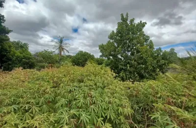 Terreno à venda, 1000 m² por r$ 700.000,00 - jardim ipê - lagoa santa/mg