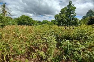 Terreno à venda, 1000 m² por r$ 700.000,00 - jardim ipê - lagoa santa/mg