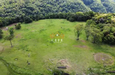 Oportunidade única: sítio em gramado, linha ávila - confira!