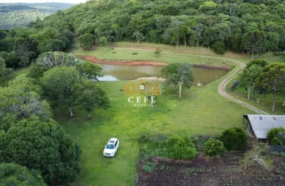 Sítio em gramado: encante-se com essa propriedade na zona rural!