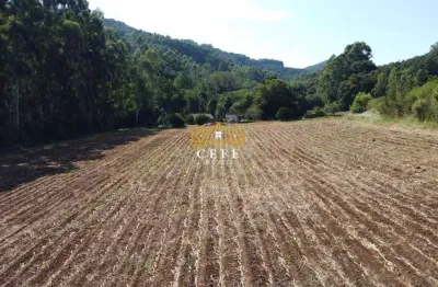 Sítio em nova petrópolis: oportunidade única no pinhal alto