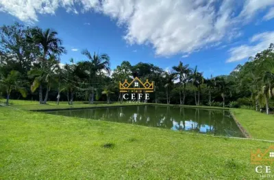 Oportunidade única: sítio à venda no centro de presidente lucena