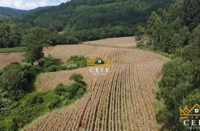 Área de 15.9 hectares em santa maria do herval - rs - serra gaúcha