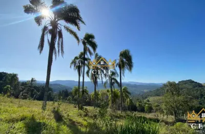 Chácara / sítio à venda na Zona Rural, Três Coroas 