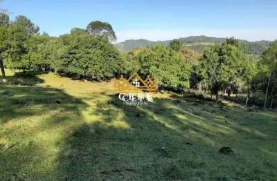 Chácara / sítio à venda na Zona Rural, São Francisco de Paula 