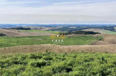 Chácara / sítio à venda na Zona Rural, São Francisco de Paula 