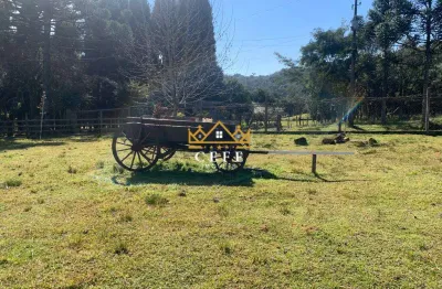 Sítio em gramado: encante-se com essa propriedade na linha tapera!