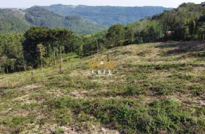 Chácara / sítio à venda na Linha Tapera, Gramado 