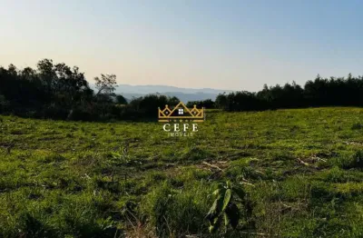 Chácara / sítio para venda em santa maria do herval - rs - bairro padre eterno ilges