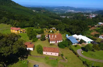 Chácara á venda centro - morro reuter - 6,7 hectares - imperdível!