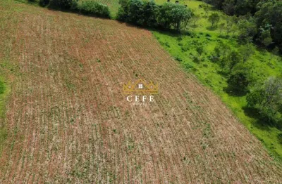 Chácara - sítio para venda  no bairro serra grande em igrejinha