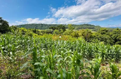 Sítio para venda em três coroas - serra grande, oportunidade única!