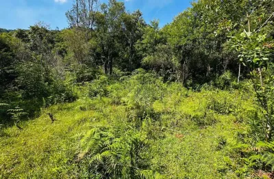 Sítio / chácara para venda no bairro alto padre eterno em santa maria do herval