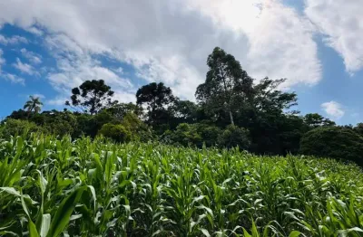 Sítio / chácara 1 quarto para venda no bairro serra grande em três coroas