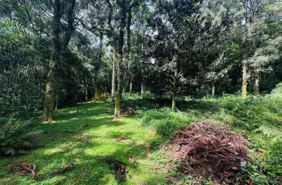 Terreno para venda no bairro linha imperial em nova petrópolis