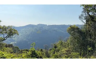 Sítio / chácara para venda no bairro treze colônias em nova petrópolis