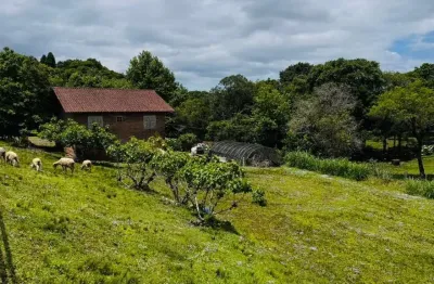 Sítio / chácara 2 quartos para venda no bairro serra grande em três coroas