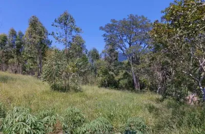 Sítio / chácara para venda no bairro zona rural em araricá