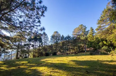 Sítio / chácara 3 quartos para venda no bairro centro em morro reuter