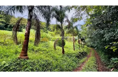 Sítio / chácara para venda no bairro serra grande em igrejinha