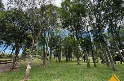 Sítio / chácara para venda no bairro serra grande em três coroas