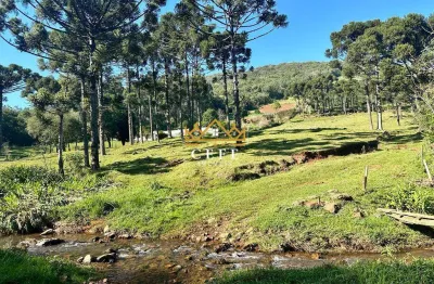Chácara / sítio com 2 quartos à venda na Zona Rural, Morro Reuter 