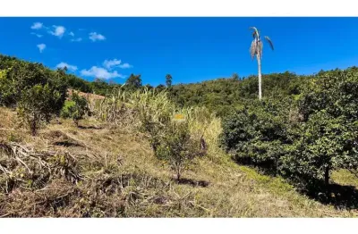 Sítio / chácara para venda no bairro linha quatro cantos em morro reuter