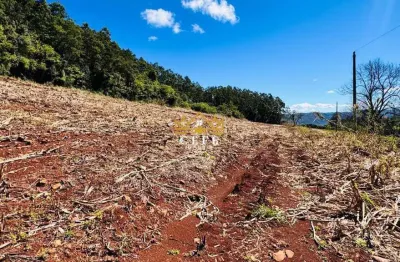 Sítio / chácara para venda no bairro linha quatro cantos em morro reuter