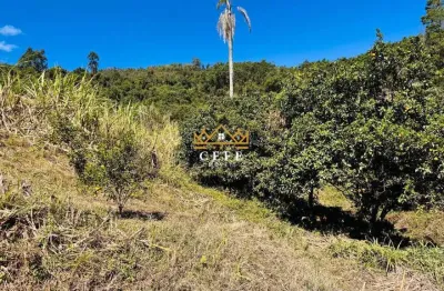 Sítio / chácara para venda no bairro linha quatro cantos em morro reuter